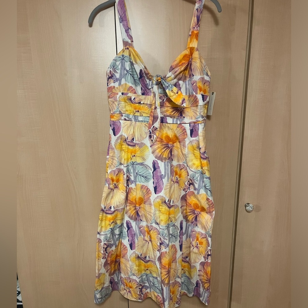 Cecelia Peterson Exclusively for Anthropologie Dress, floral, size 6, NWT